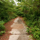 Illustration for article titled Take a stroll down Staten Islands freeway to nowhere